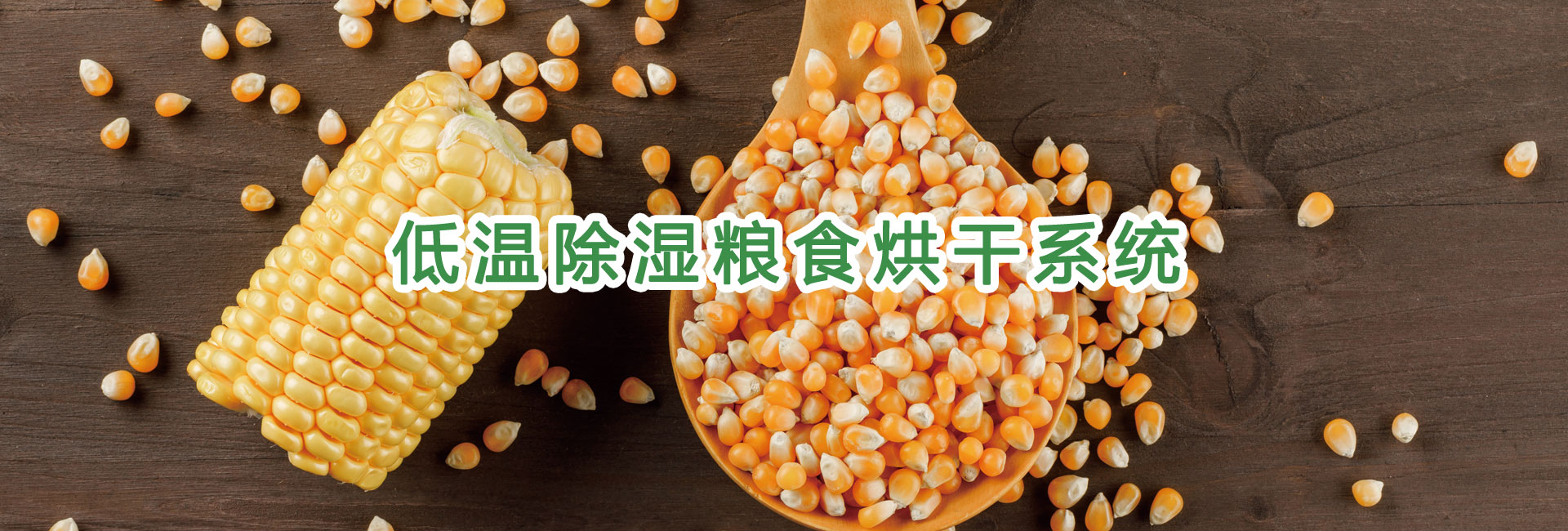 轮播大图1